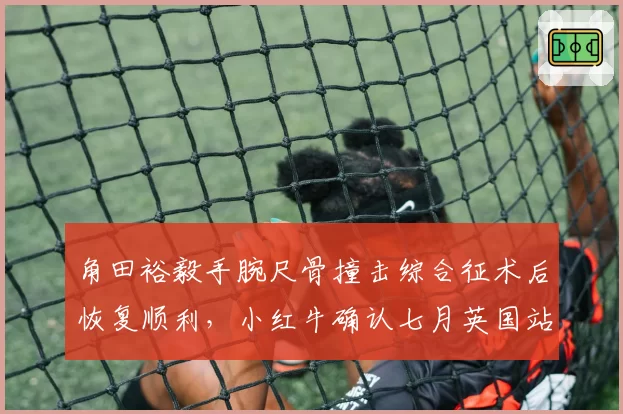角田裕毅手腕尺骨撞击综合征术后恢复顺利，小红牛确认七月英国站复出