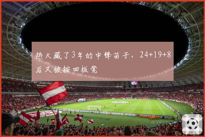 热火藏了3年的中锋苗子，24+19+8后又被按回板凳