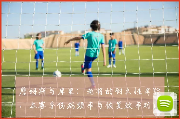詹姆斯与库里:老将的耐久性考验,本赛季伤病频率与恢复效率对比