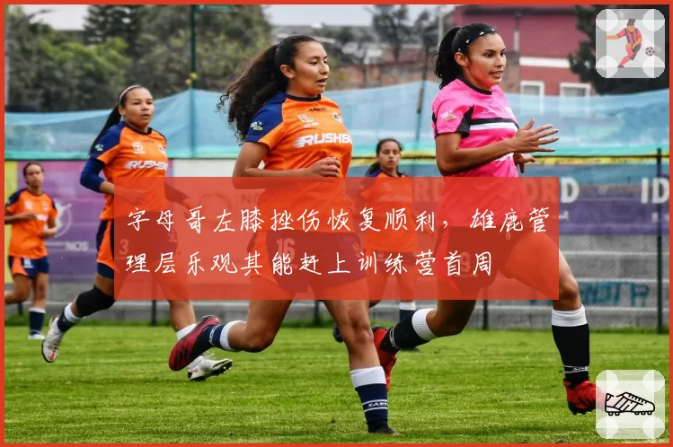字母哥左膝挫伤恢复顺利，雄鹿管理层乐观其能赶上训练营首周