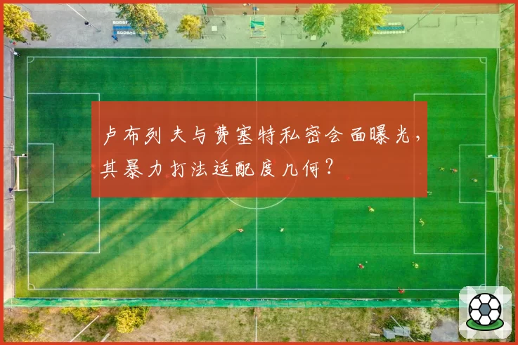 卢布列夫与费塞特私密会面曝光，其暴力打法适配度几何？