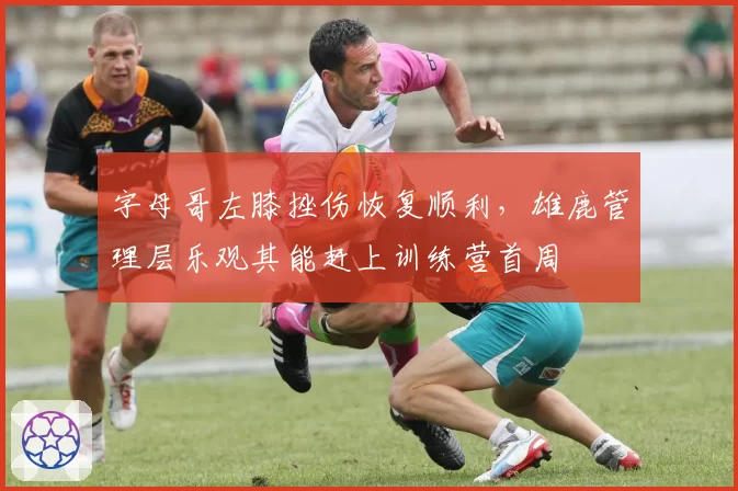 字母哥左膝挫伤恢复顺利,雄鹿管理层乐观其能赶上训练营首周